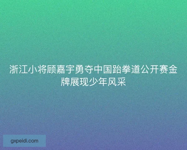 浙江小将顾嘉宇勇夺中国跆拳道公开赛金牌展现少年风采