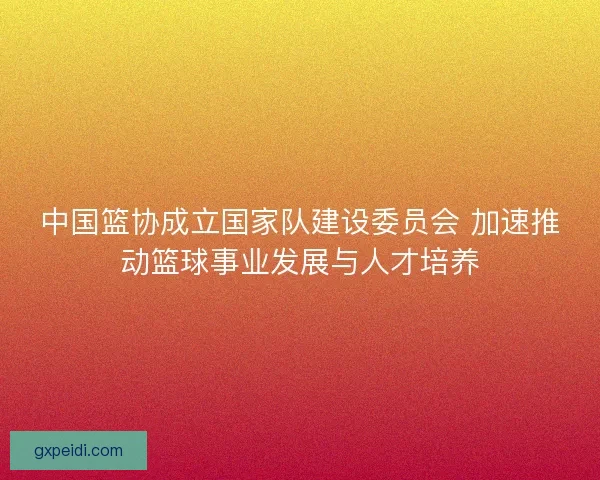 中国篮协成立国家队建设委员会 加速推动篮球事业发展与人才培养